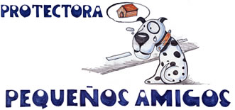ENLACE A SU P&Aacute;GINA