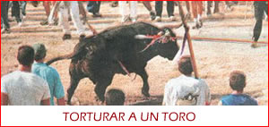SE ABRE VENTANA APARTE....